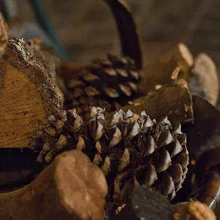 Casa rural Martas Acebo