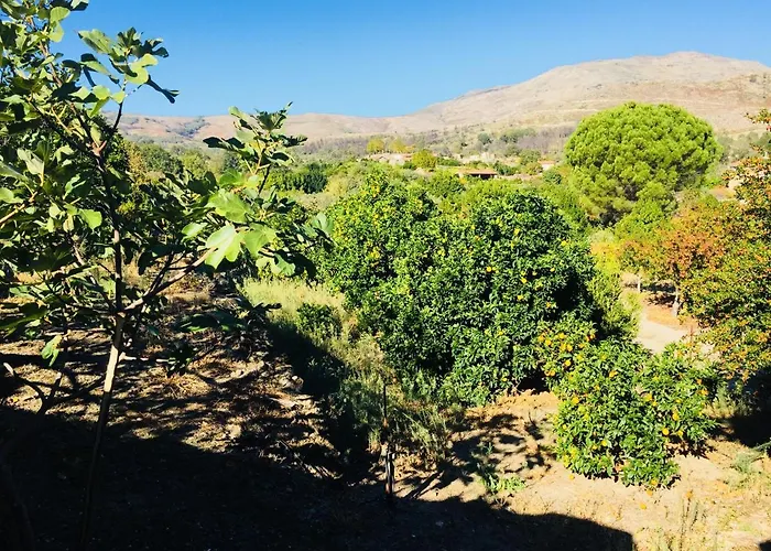 Casa Rural Las Martas